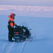 Snowmobile on the sea Photo Fredrik Broman