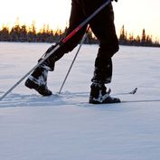 Cross Country Skiing close  Photo Johan Sköld2