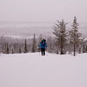 Cross Country Skiing Photo Johan Sköld