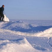 Cross country skier on the sea Photo Fredrik Broman